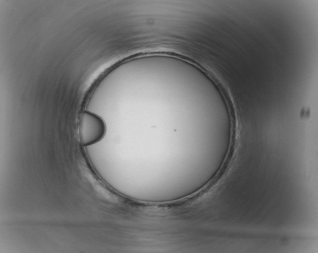 X0000110770789200906150952