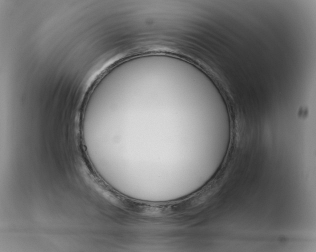 X0000110770790200906150952