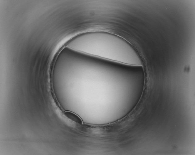 X0000110770792200906150952