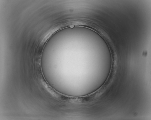 X0000110770793200906150952