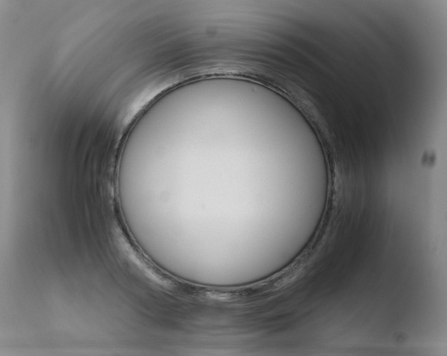 X0000110770794200906150952