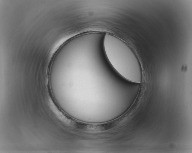 X0000110770795200906150952