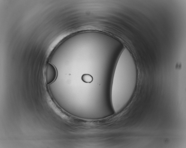 X0000110770796200906150952