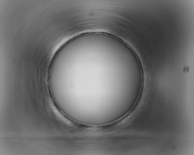 X0000110770797200906150952