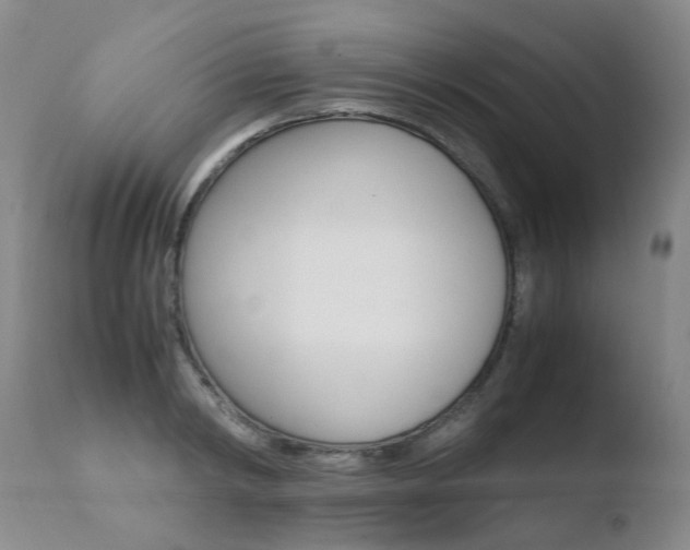 X0000110770798200906150952