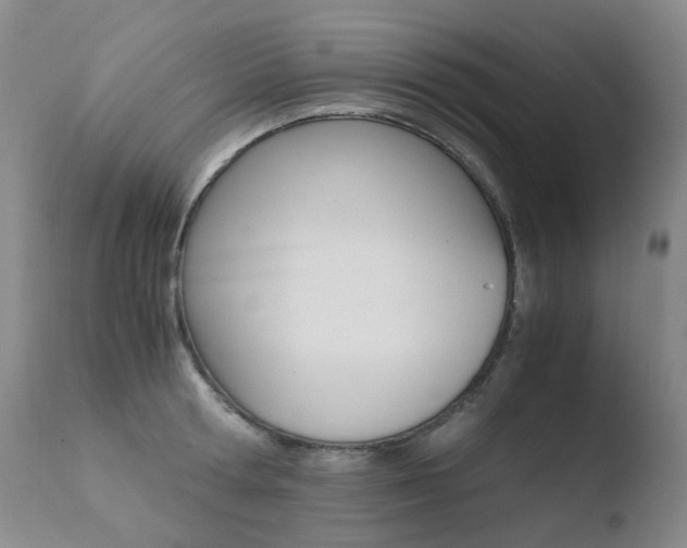 X0000110770802200906150952