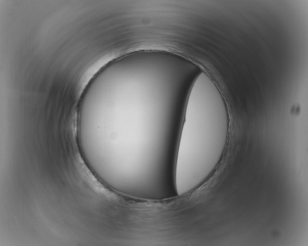 X0000110770804200906150952