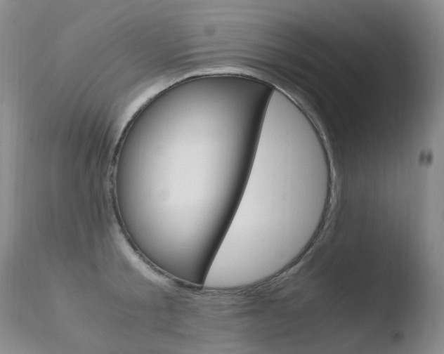 X0000110770805200906150952