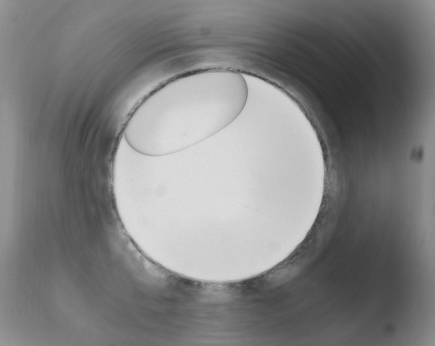 X0000110770807200906150952