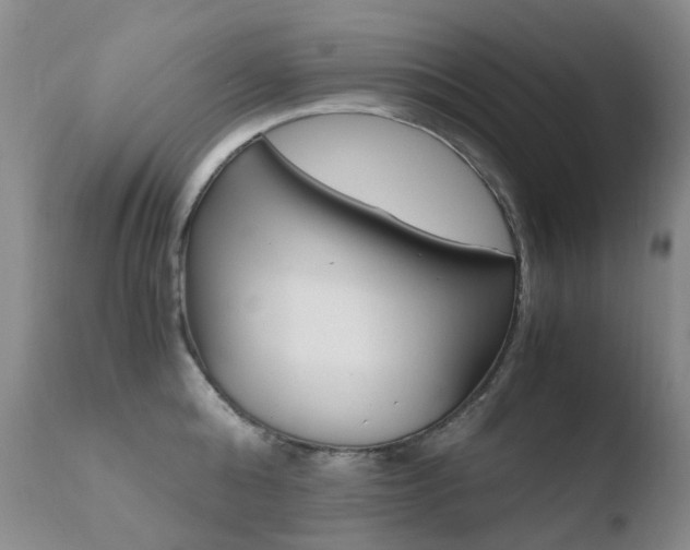 X0000110770808200906150952