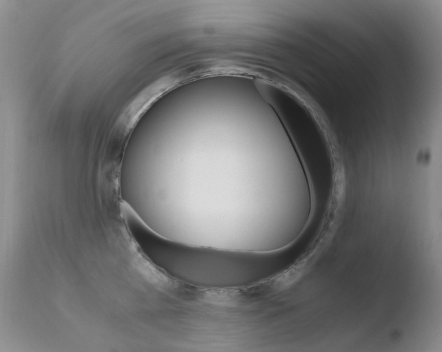 X0000110770809200906150952