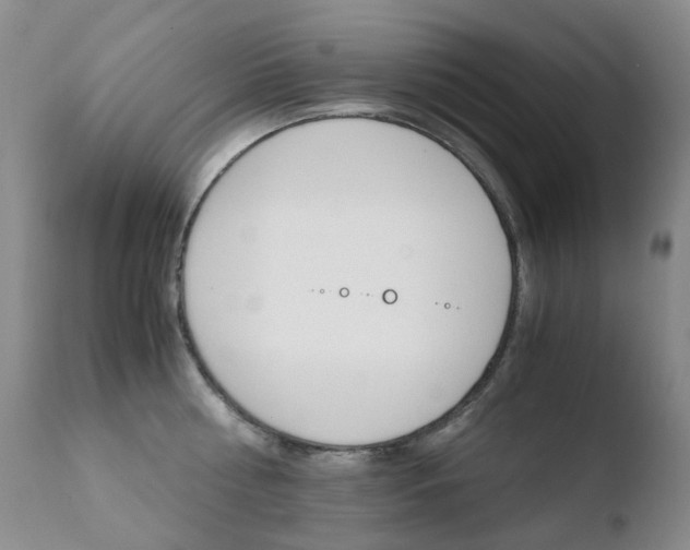 X0000110770810200906150952