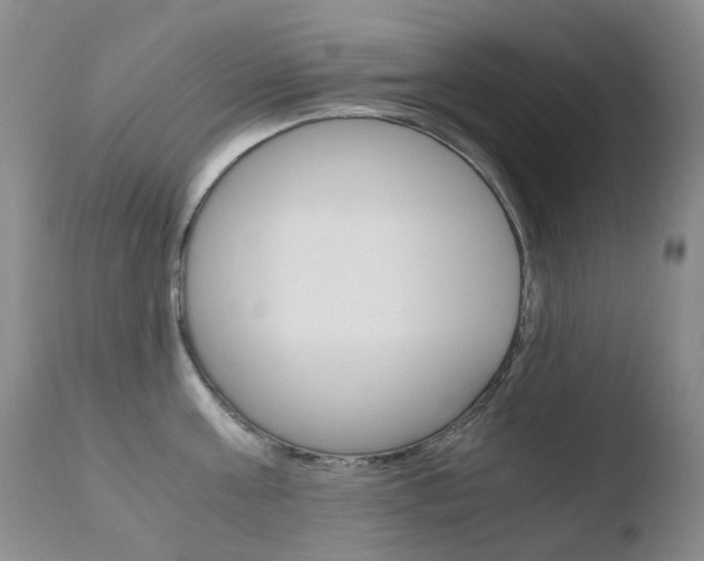 X0000110770811200906150952