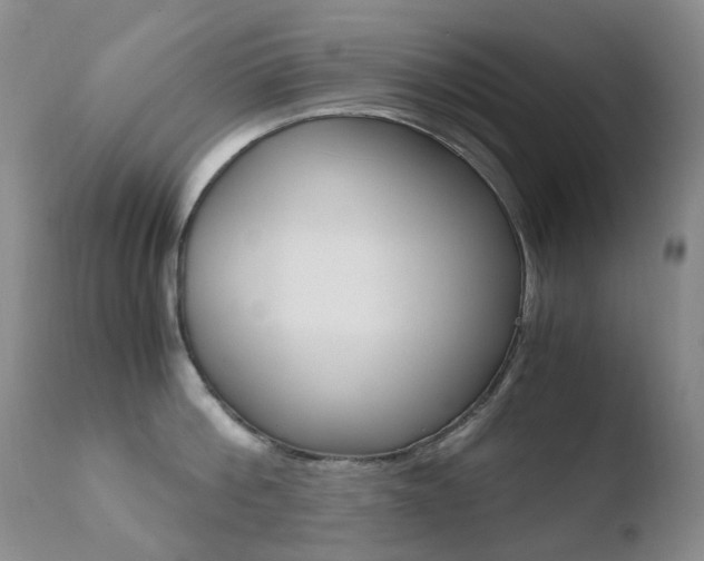 X0000110770812200906150952
