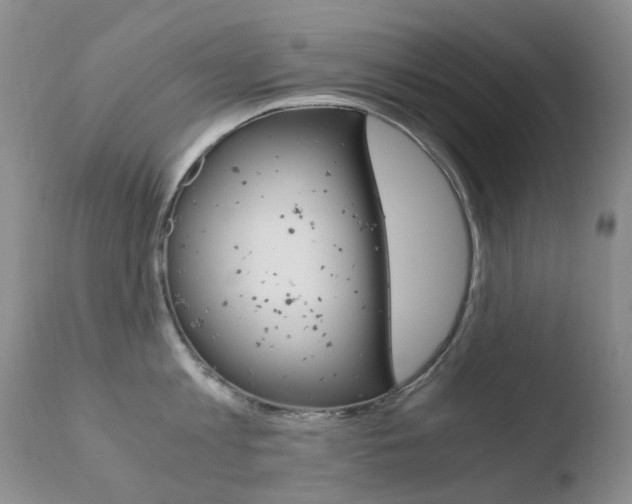 X0000110770813200906150952