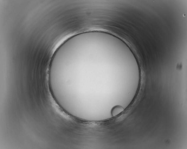 X0000110770814200906150952