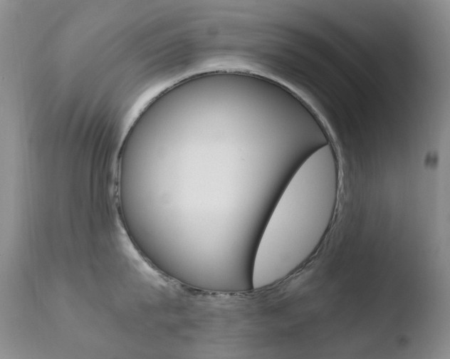 X0000110770815200906150952