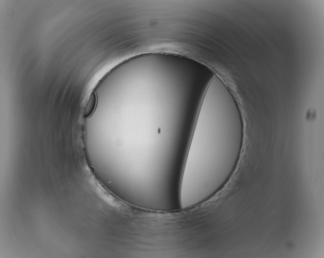 X0000110770816200906150952
