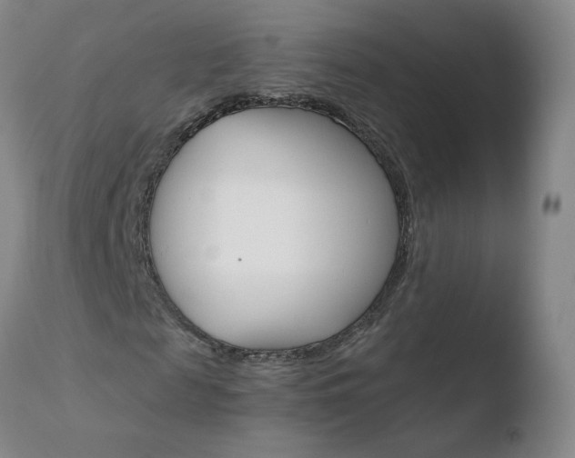 X0000110770817200906150951