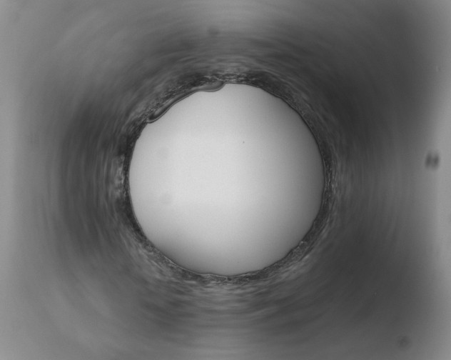 X0000110770818200906150951