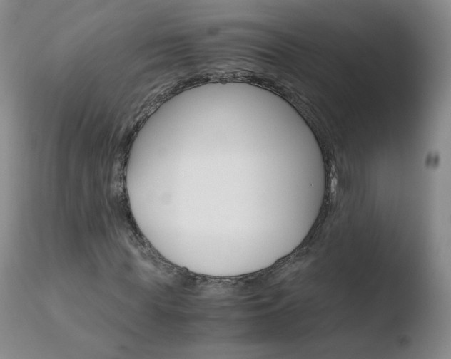 X0000110770819200906150951