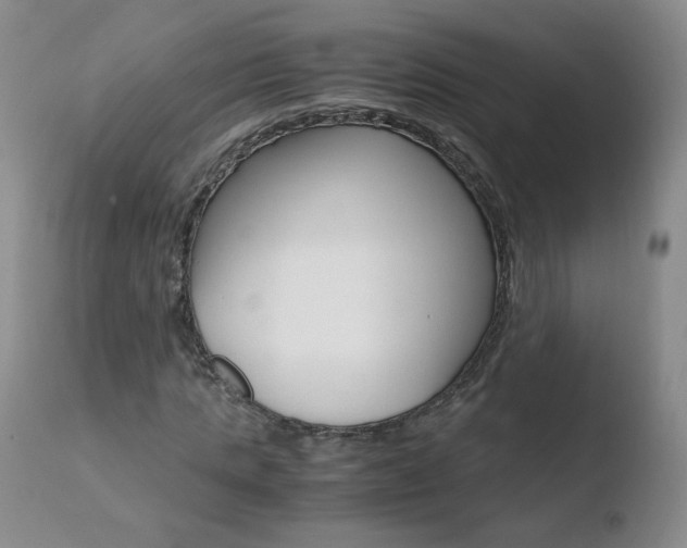 X0000110770821200906150951