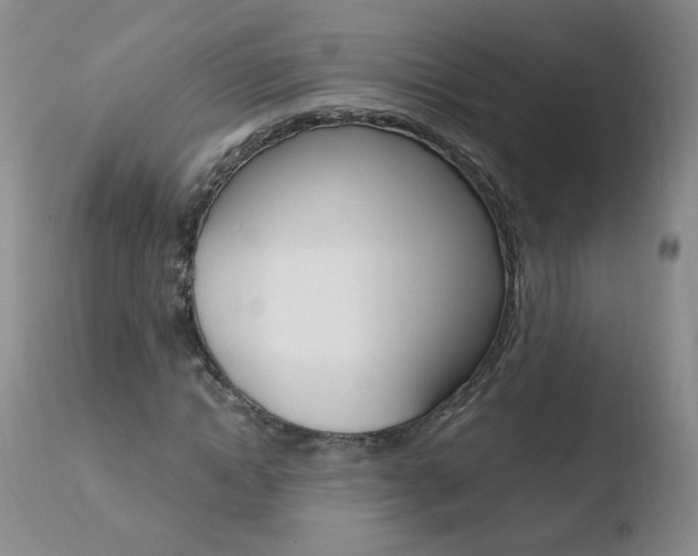 X0000110770822200906150951