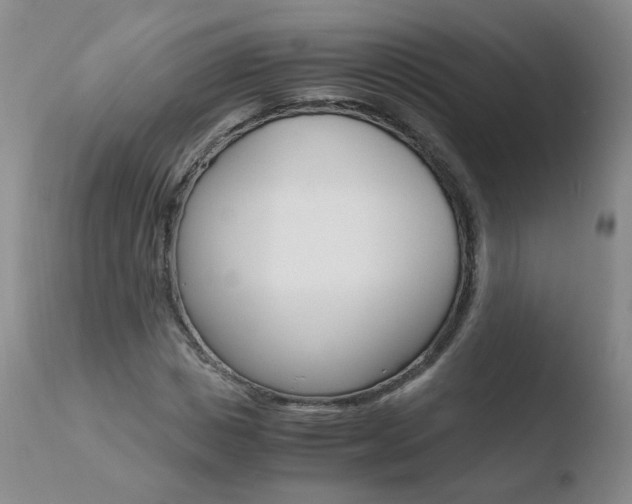 X0000110770825200906150951