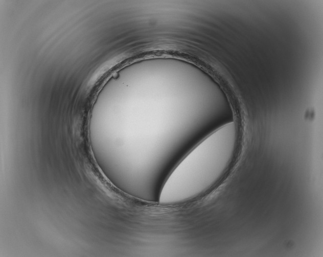X0000110770826200906150951