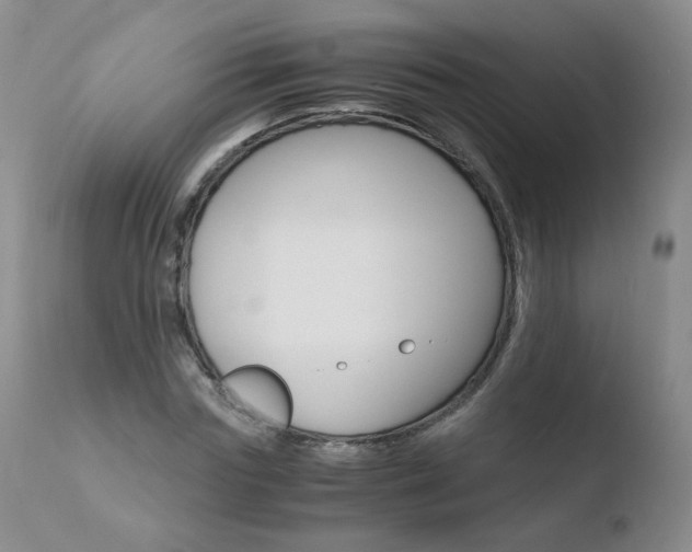 X0000110770827200906150951