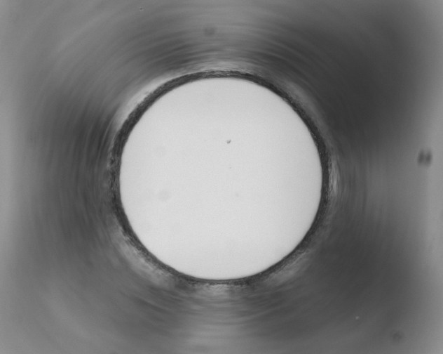 X0000110770828200906150951
