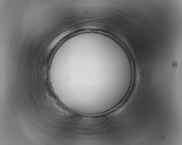 X0000110770829200906150951