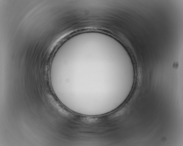 X0000110770831200906150951