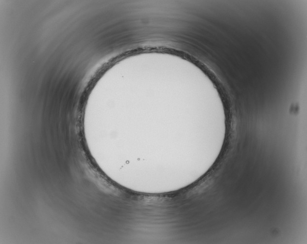 X0000110770832200906150951