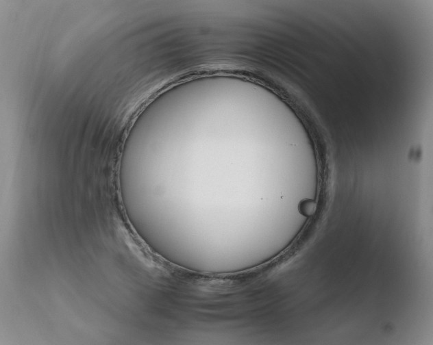X0000110770833200906150952