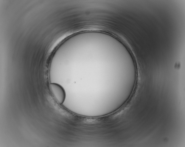 X0000110770835200906150952