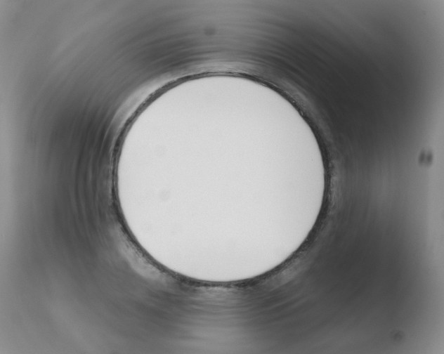 X0000110770836200906150952