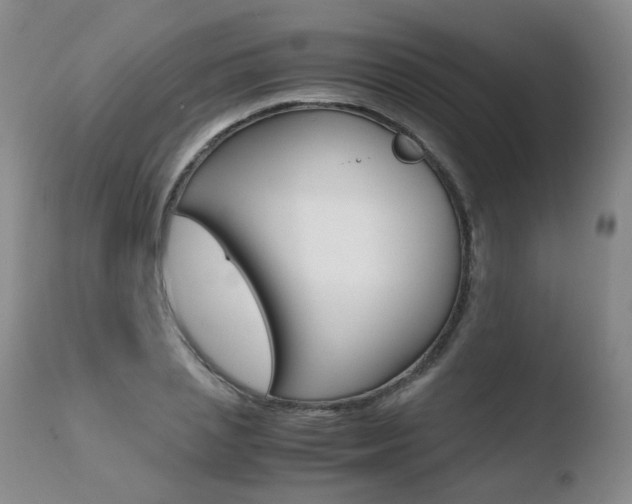 X0000110770837200906150952