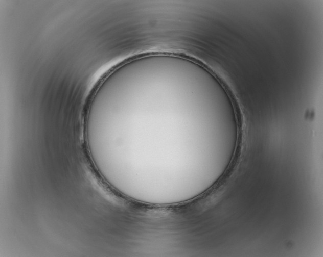 X0000110770838200906150952