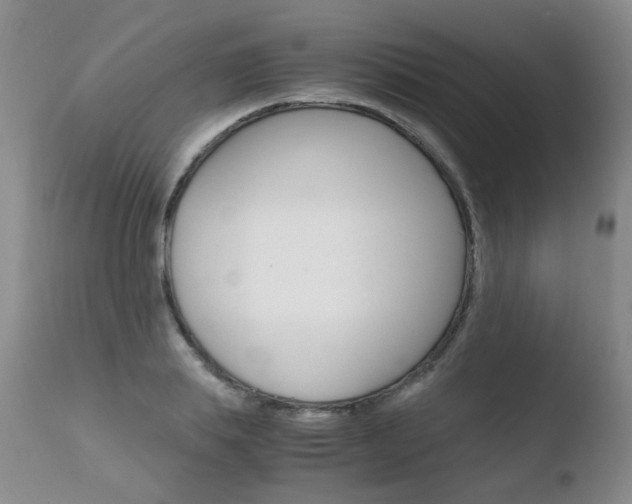 X0000110770839200906150952