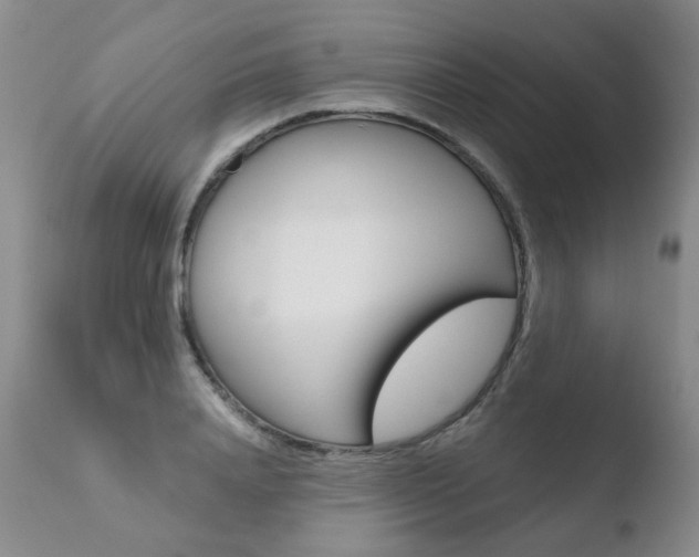 X0000110770840200906150952