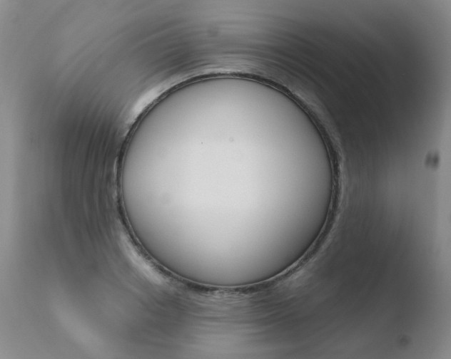 X0000110770842200906150952