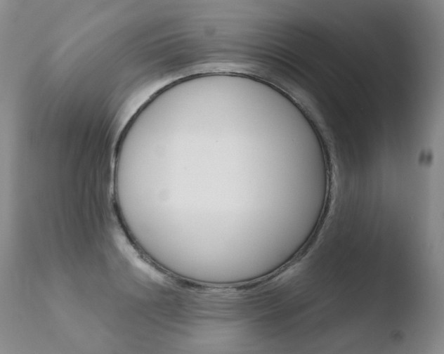 X0000110770844200906150952