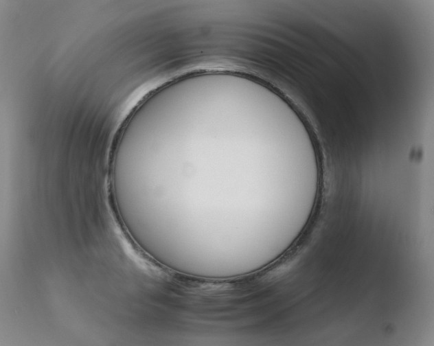 X0000110770845200906150952