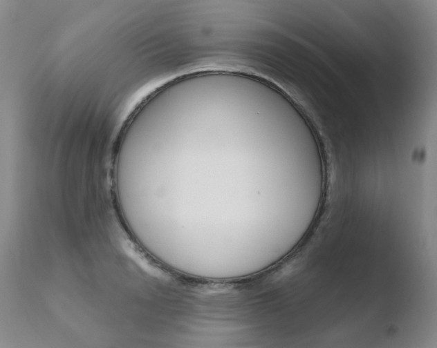 X0000110770846200906150952
