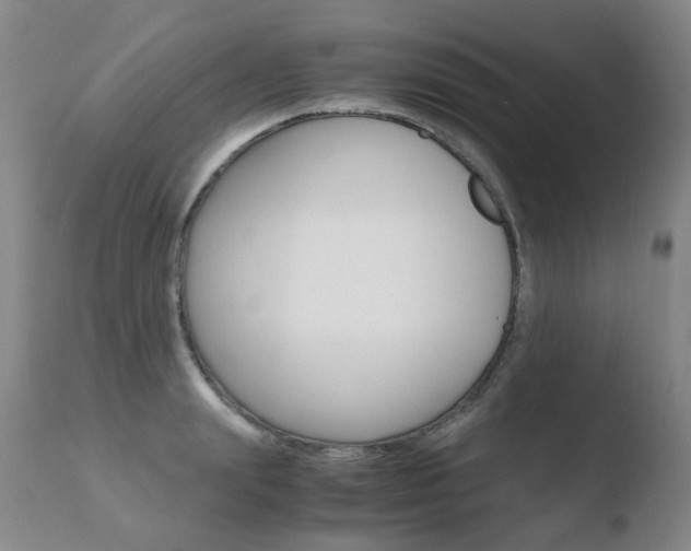 X0000110770847200906150952