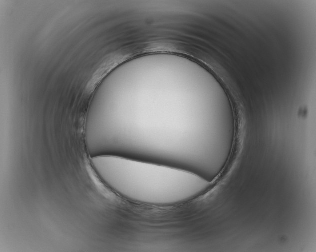 X0000110770849200906150952