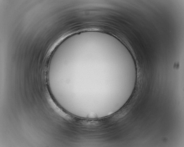 X0000110770851200906150952