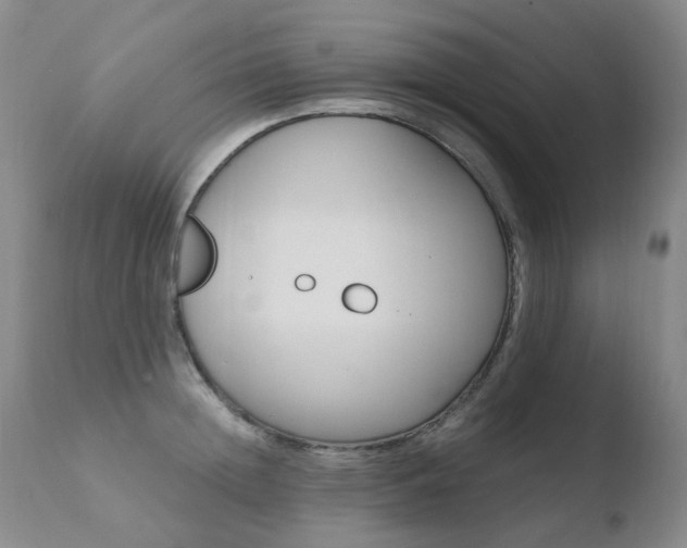 X0000110770852200906150952
