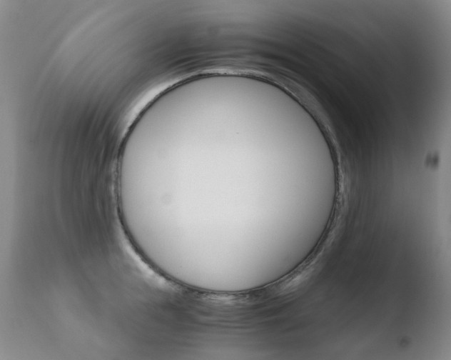 X0000110770855200906150952